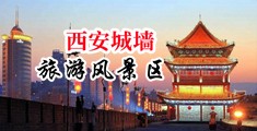大黑屌操逼就是爽中国陕西-西安城墙旅游风景区