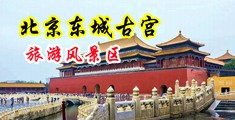 伊人网在线黄色视频中国北京-东城古宫旅游风景区